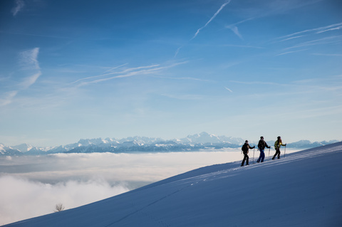 ©David Carlier - David Carlier ©David Carlier